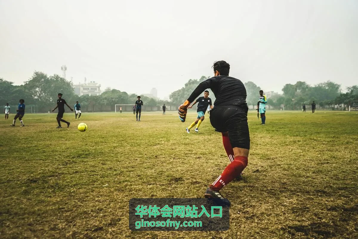华体会网站入口访问帮助片段封面