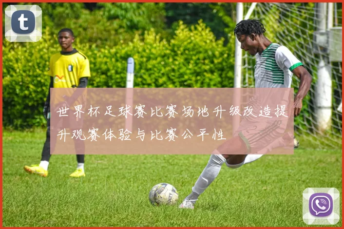 世界杯足球赛比赛场地升级改造提升观赛体验与比赛公平性