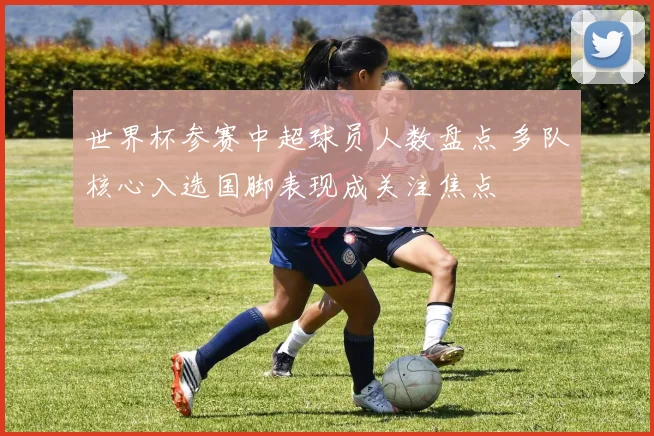 世界杯参赛中超球员人数盘点 多队核心入选国脚表现成关注焦点