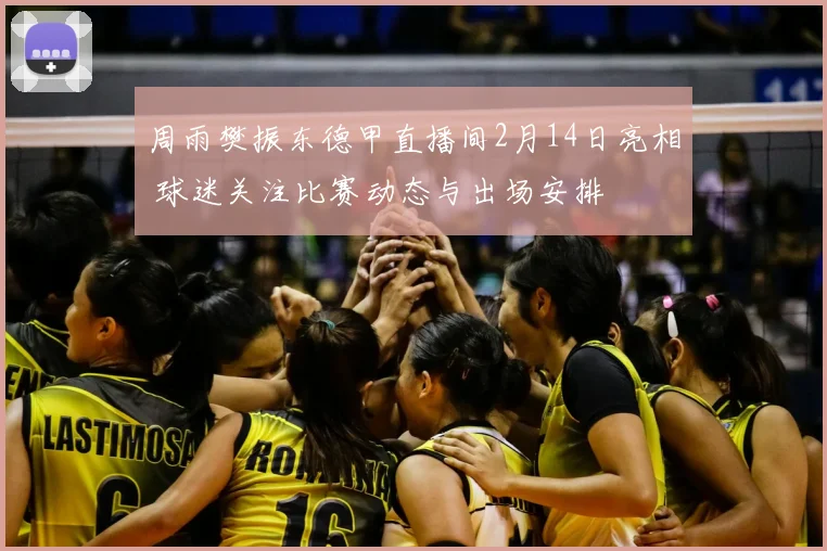 周雨樊振东德甲直播间2月14日亮相 球迷关注比赛动态与出场安排
