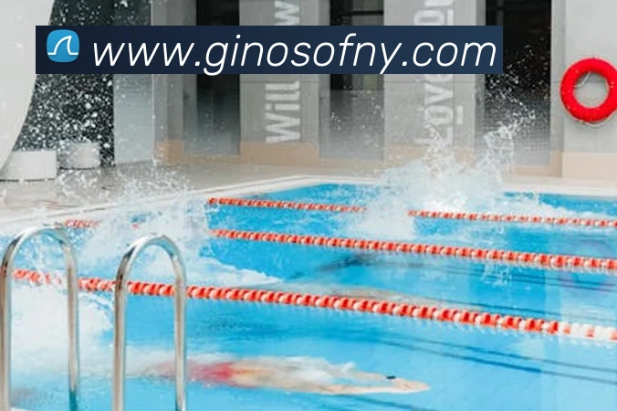 开云官方在线登陆入口平台生态图